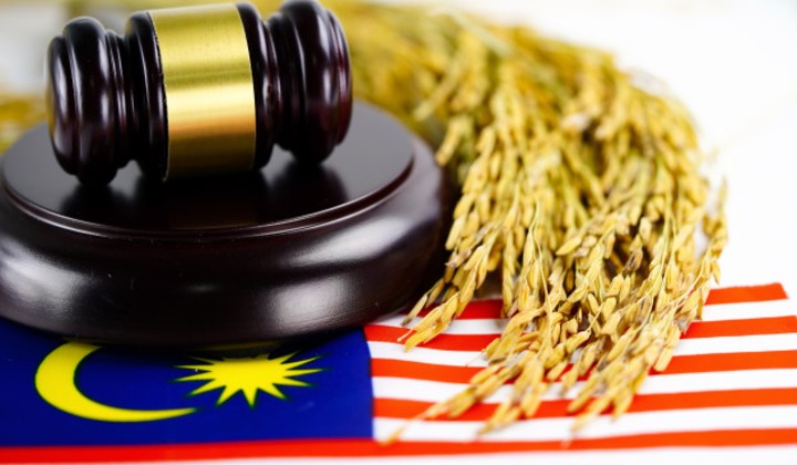 Ever Wonder How A Law Gets Passed In Malaysia We Ll Also Tell You Why It Takes So Long Trp