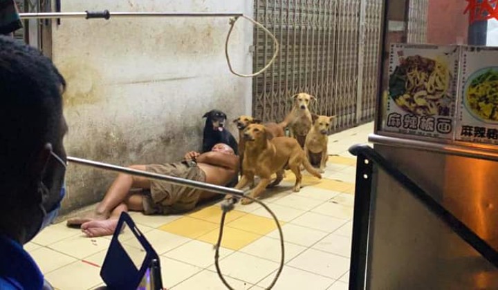 Man Scolds Aunty For Letting Dogs Play On Public Playground's
