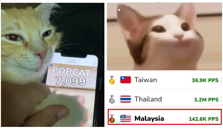 Pop cat malaysia