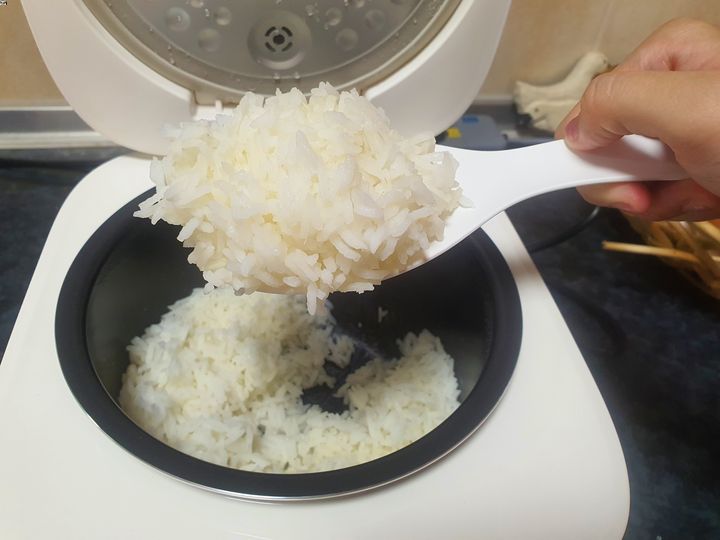 joyami Smart Rice Cooker