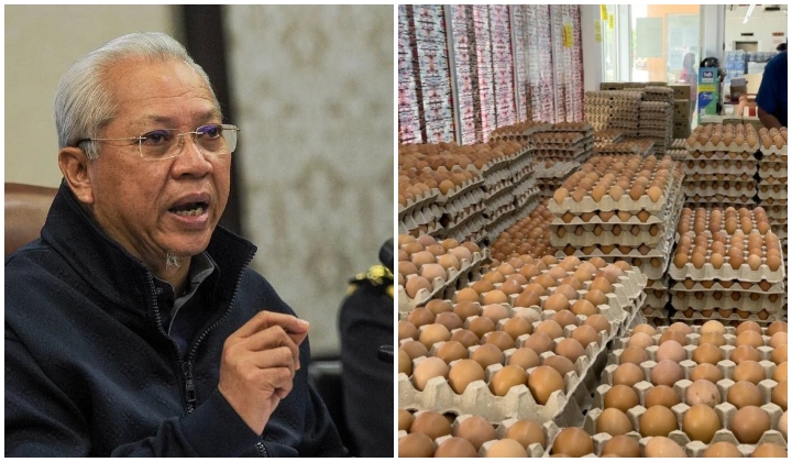 Malaysia Tak Mampu Import Telur Ayam, Menteri Cadang Subsidi Bulanan RM20 Juta