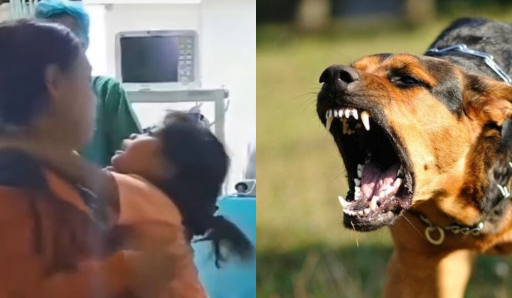 [Video] Kanak-kanak Alami Gejala 'Takut Air' Selepas Digigit Anjing Pembawa Rabies