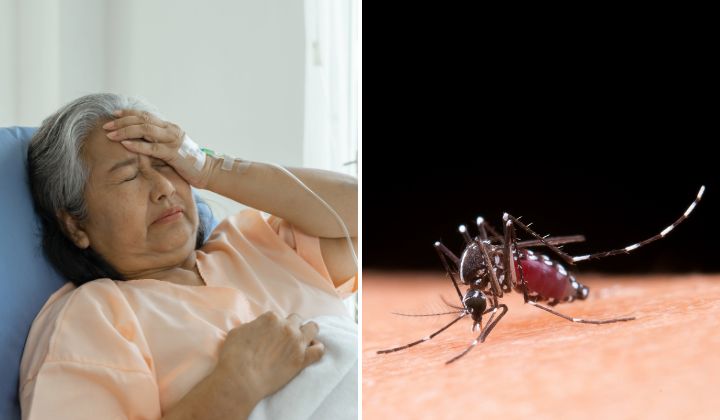 Watch Out For Dengue Warning Signs, Refer To Emergency Department  Immediately For Severe Symptom Cases | TRP